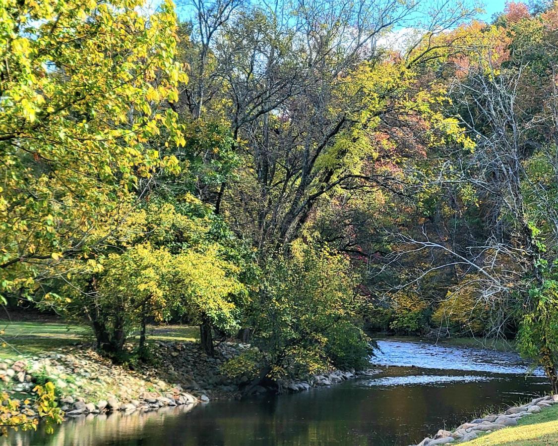 Skinny Dippin'-River Front- Free Tickets-Dog Friendly-Sleeps 6 鸽子谷 外观 照片